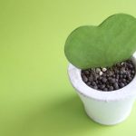 恋愛に興味ない男性の特徴は?落とす方法はある?